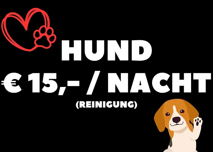 Claus Resch - E-bike, Wandern, Minigolf, Familie, Urlaub An Der Weinstrasse 루트스카치